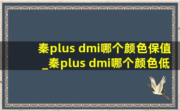 秦plus dmi哪个颜色保值_秦plus dmi哪个颜色(低价烟批发网)